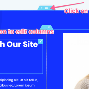 10 Million PLR Articles