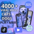 🐾 4,000+ Faceless Pet Videos – Digital Download