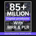 85 Million Digital Products Bundle – The Ultimate PLR Library