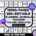 Digital Products Bundle — Reels, Journals & Planners
